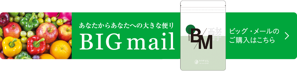 mailBIGビッグ・メールのご購入はこちら