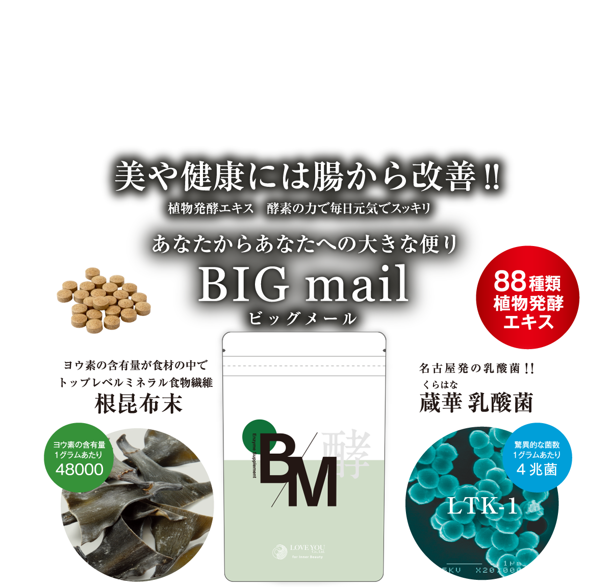 植物発酵エキス 酵素の力で毎日元気でスッキリ美や健康には腸から改善!!あなたからあなたへの大きな便りBIG MAILビッグメール