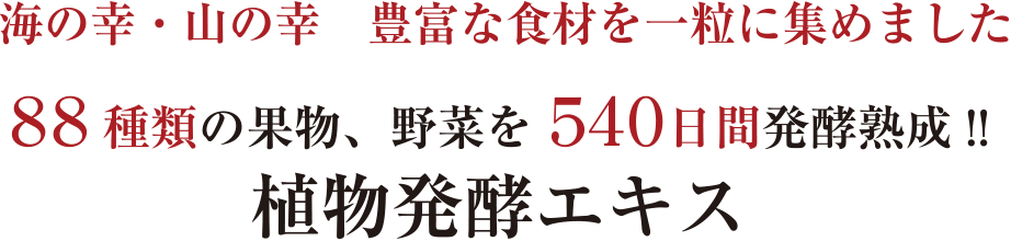 海の幸・山の幸　豊富な食材を一粒に集めました88種類の果物、野菜を540日間発酵熟成!!植物発酵エキス