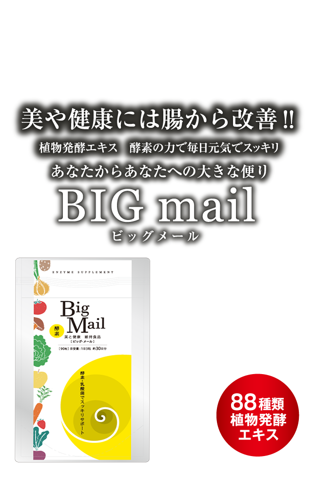 ビッグメール Love You