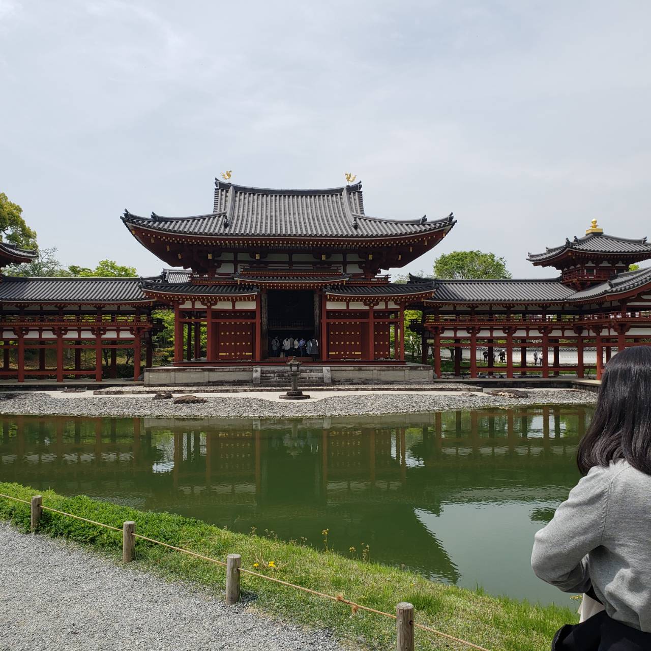 平等院鳳凰堂図】苑渓 983 京都 共箱 掛け軸 肉筆 館蔵名品展ｰ巳年に
